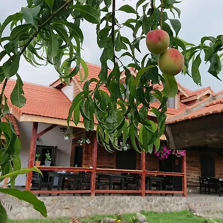 Satul Traditional Lodge Runcu (Gorj)